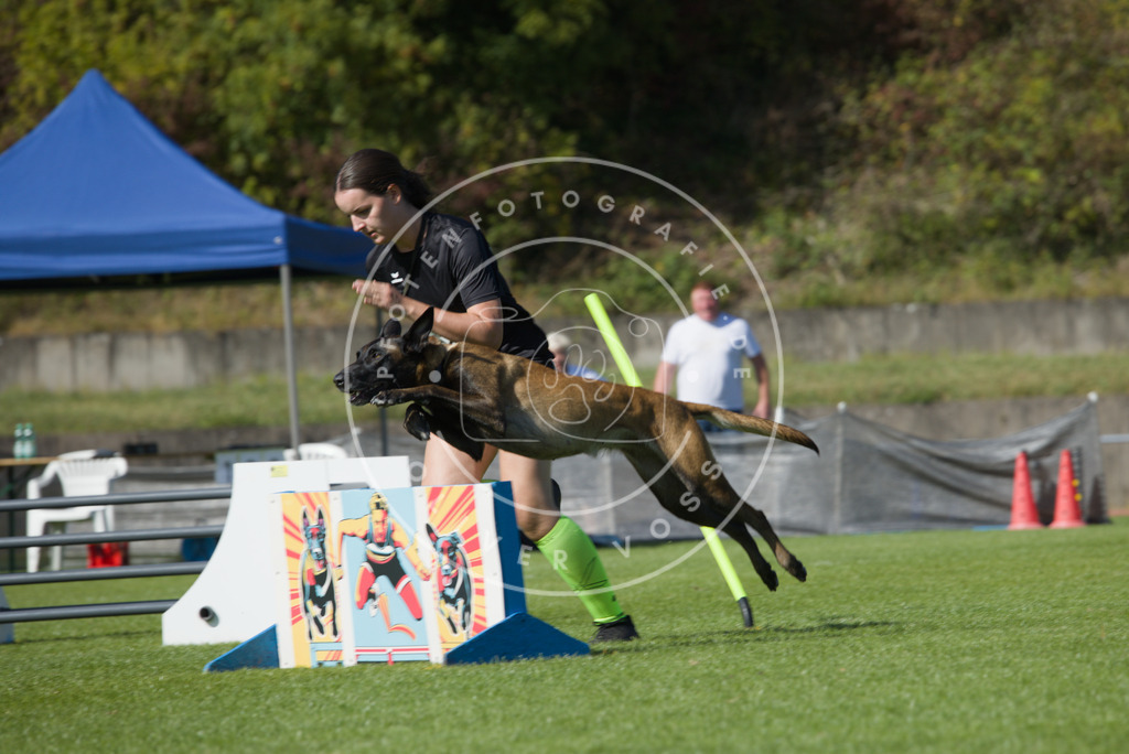 0L8A7745 | Hundefotografie, Tierfotograf, Pfotenfotografie, Fotoshooting Hund, Hunde Portrait, Hundesport, Hundeportraits, Heideshooting, Hunde, Sportfotograf, Hundefotograf, Turnierhundsport, THS,  - Realisiert mit Pictrs.com