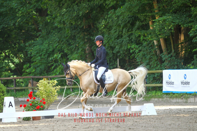 DKP42487 | Turniersportfotografie; Pferdefotografie; Dressurfotografie