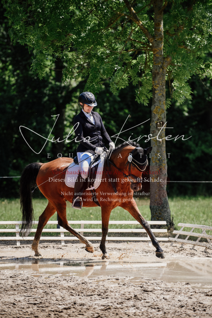 DSC_1861 | Pferde- und Turnierfotografie in Westsachsen. Pferdeportraits, Auftragszeichnungen und intuitive Kunst.