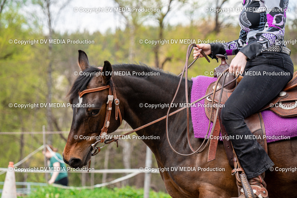 BAL02527 | dv-media-shop - Realisiert mit Pictrs.com