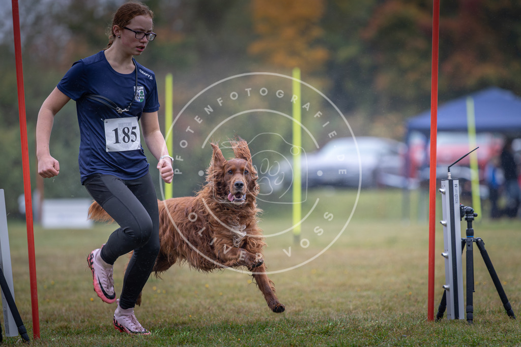 Pfotenfotografie_DV3A0088 | Hundefotografie, Tierfotograf, Pfotenfotografie, Fotoshooting Hund, Hunde Portrait, Hundesport, Hundeportraits, Heideshooting, Hunde, Sportfotograf, Hundefotograf, Turnierhundsport, THS,  - Realisiert mit Pictrs.com