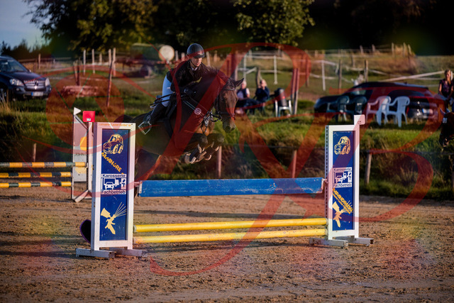 2026_10_03_Siefer-Hof_171049_Z81_07787917 | Professionelle Reitsport-, Turnier- und Eventfotografie von Robert Broda. Galerien mit ausgewählten und bearbeiteten Bildern direkt online ansehen und bestellen.