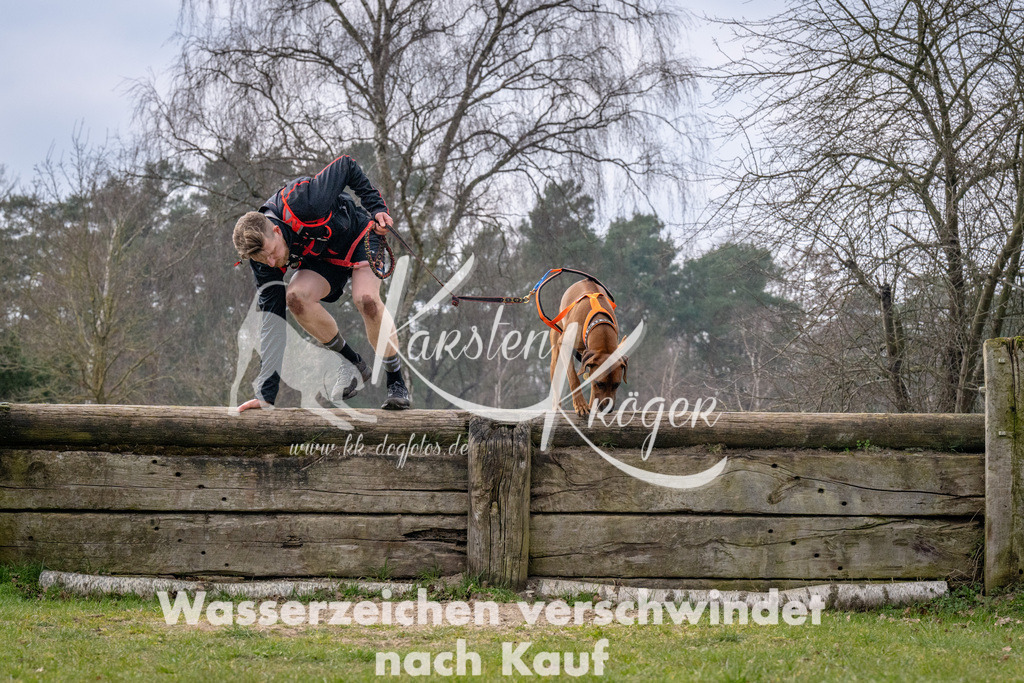 _ZZ93014 | kk-dogfotos