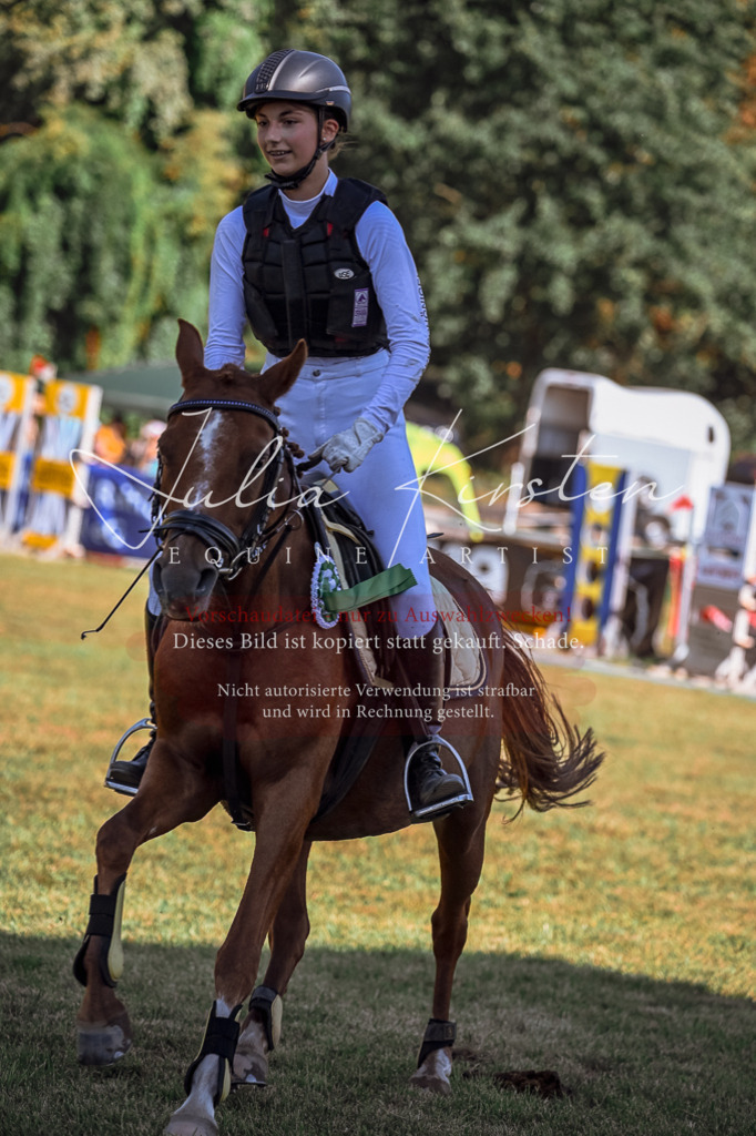 DSC_1193 | Pferde- und Turnierfotografie in Westsachsen. Pferdeportraits, Auftragszeichnungen und intuitive Kunst.