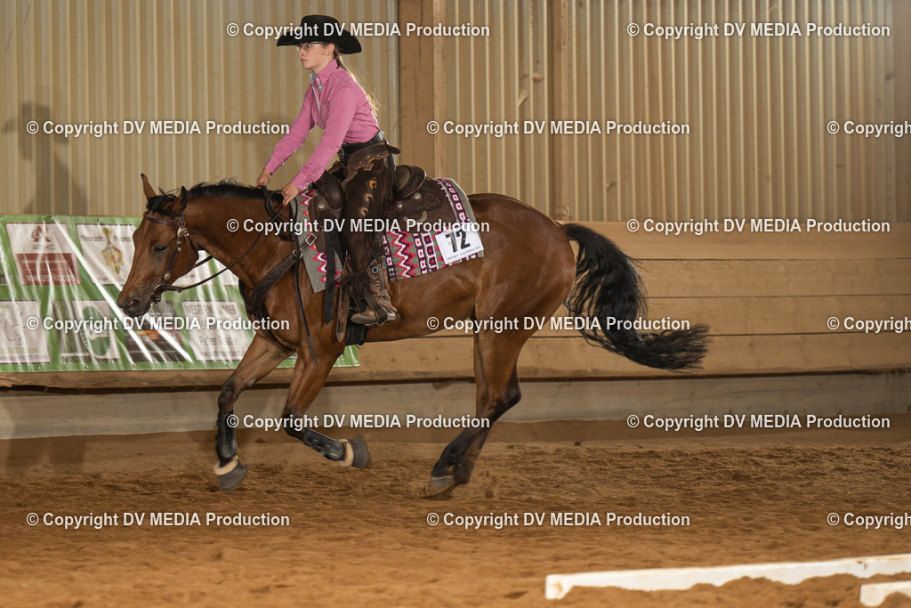 NID01563 | dv-media-shop - Realisiert mit Pictrs.com