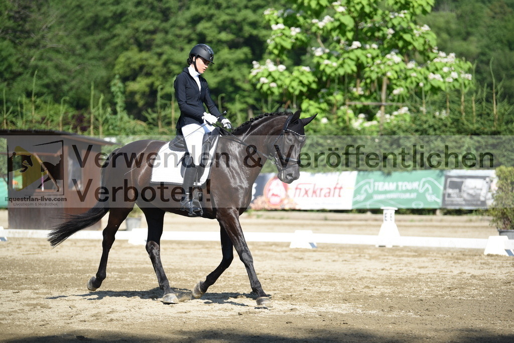 DSC_7358 | equestrian-live-com