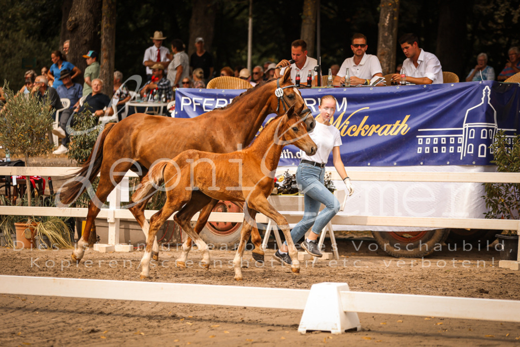 SaPA00190 | Leoni Ertmer Photography - Realisiert mit Pictrs.com