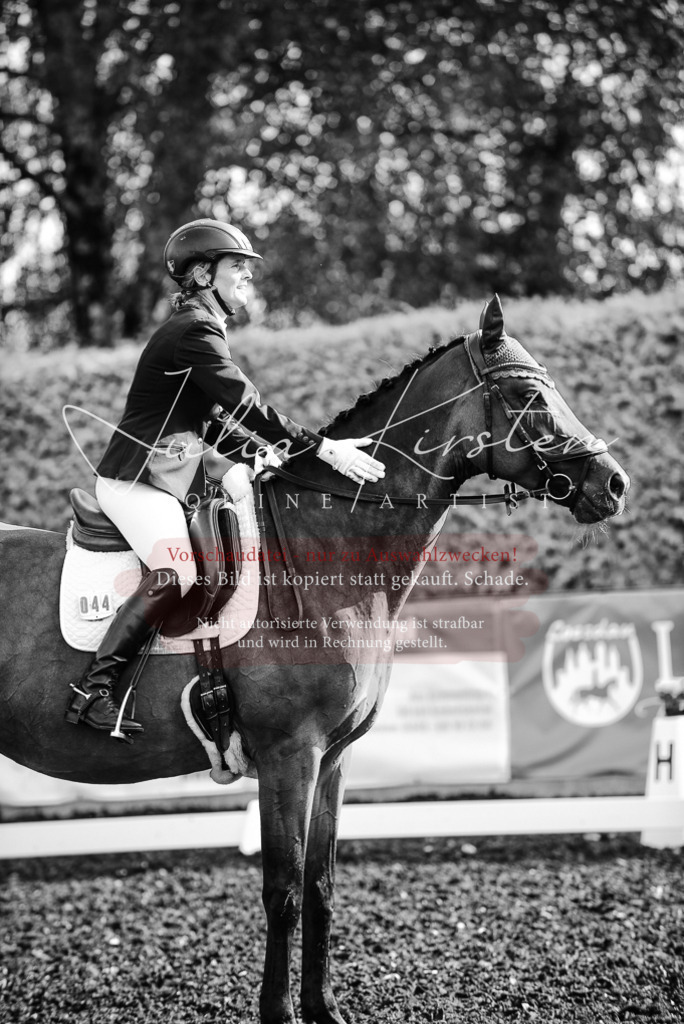 DSC_3246 | Pferde- und Turnierfotografie in Westsachsen. Pferdeportraits, Auftragszeichnungen und intuitive Kunst.