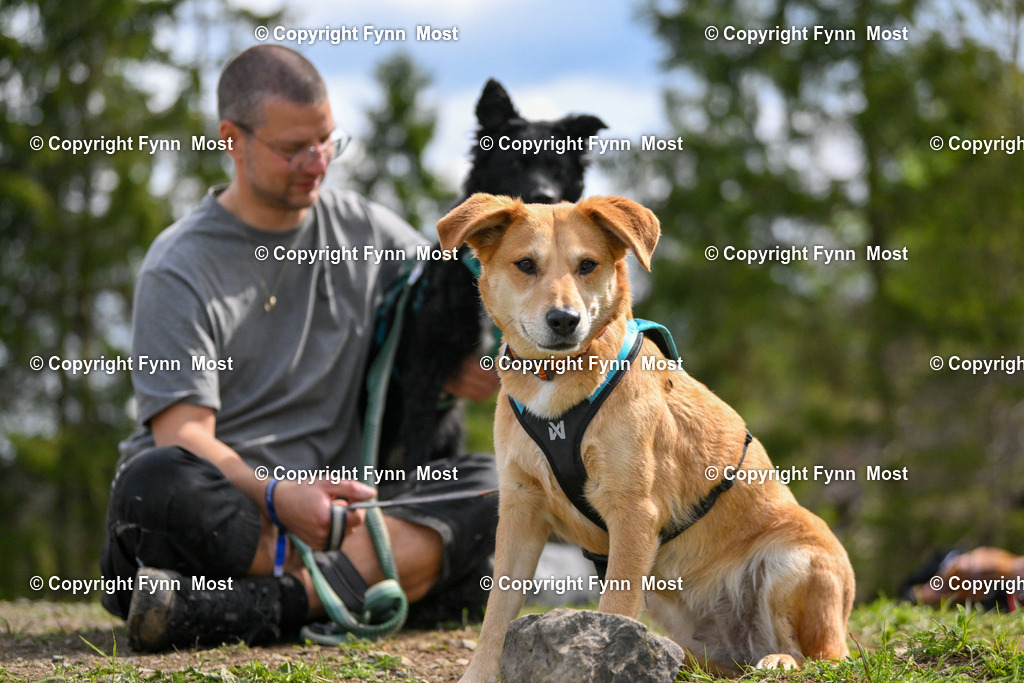 DSC_3822 | Hallo und herzlich Willkommen auf meiner Shop-Seite Fynn Most.

Ich wünsche Dir viel Spaß beim stöbern durch die Bilder, wenn Du Fragen hast oder Bilder vermisst, kannst du mir gerne eine Nachricht schreiben. - Realisiert mit Pictrs.com