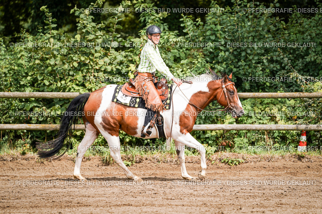 DSC07196 | Pferdegrafie