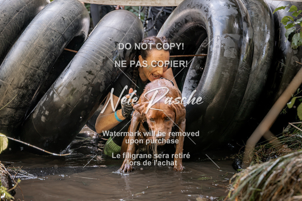 nelerasche_Hunsrück2026_Sa1400-1500_384 | nelerasche