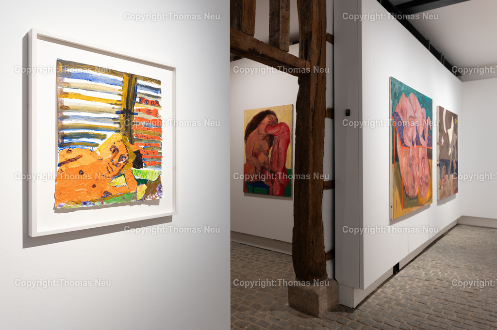 Museum_Bensheim_Shanee_Roe_Fotografie-Thomas-Neu-58 | Museum Bensheim, Die Künstlerin Shanee Roe in ihrer Ausstellung „Playdate“ im Museum Bensheim an der Bergstraße.Bild: Thomas Neu