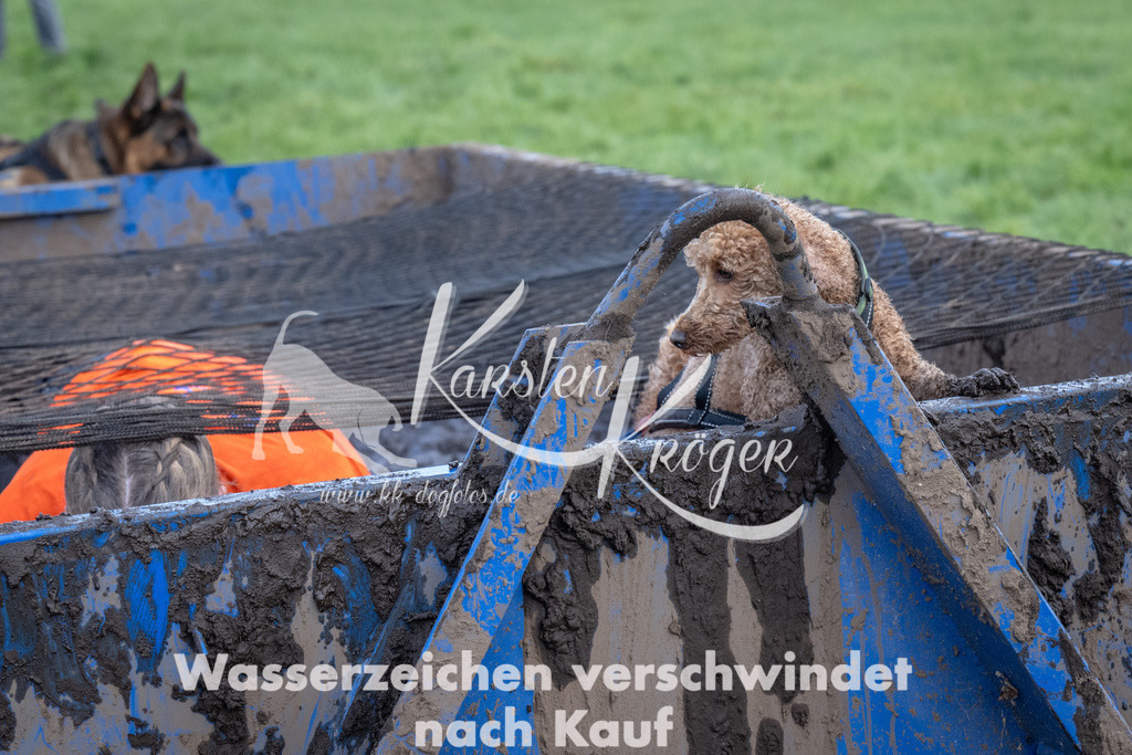 1440_ZZ93154 | kk-dogfotos