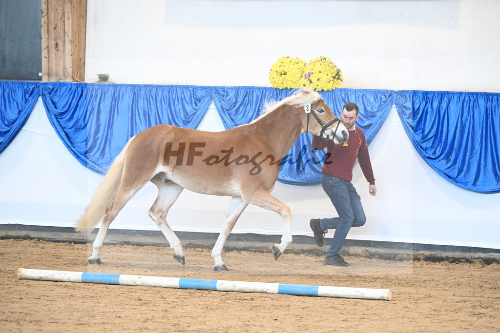 Kat-Nr. 3 Avalanche v. Ace of Hearts_Anger_48250807 | hf-fotografie - Realisiert mit Pictrs.com