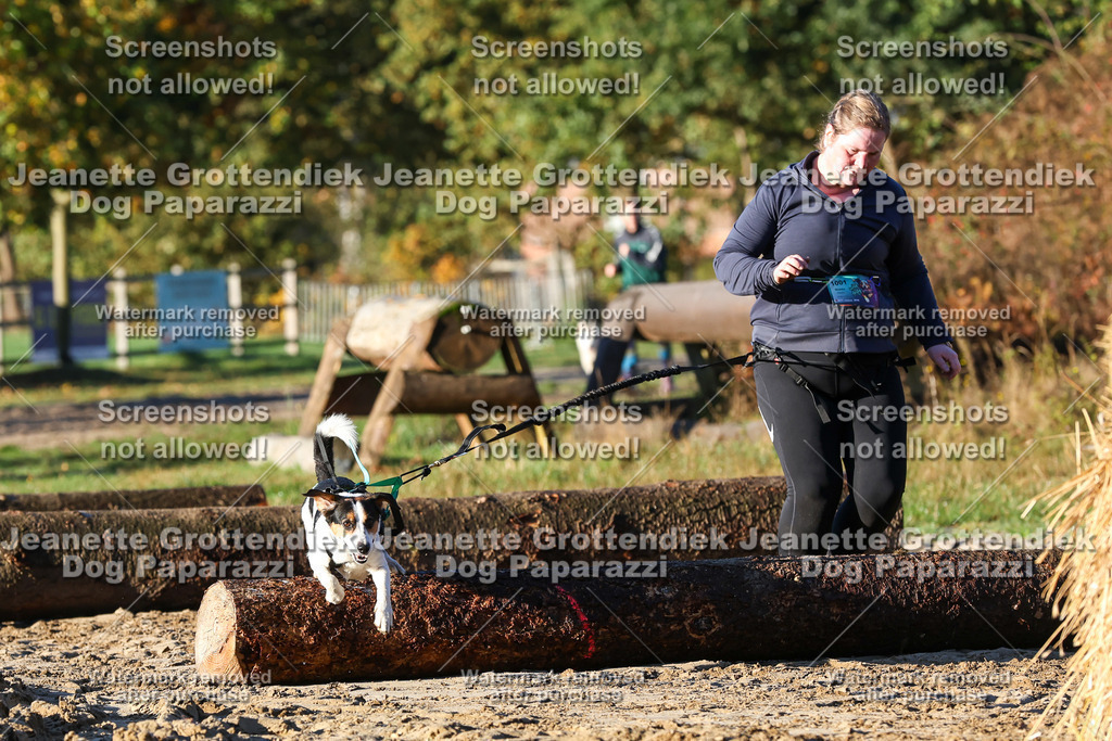 Dog Paparazzi - Strongdog 10-25-926 | Dog Paparazzi Jeanette Grottendiek Fotografie & Videografie - Realisiert mit Pictrs.com
