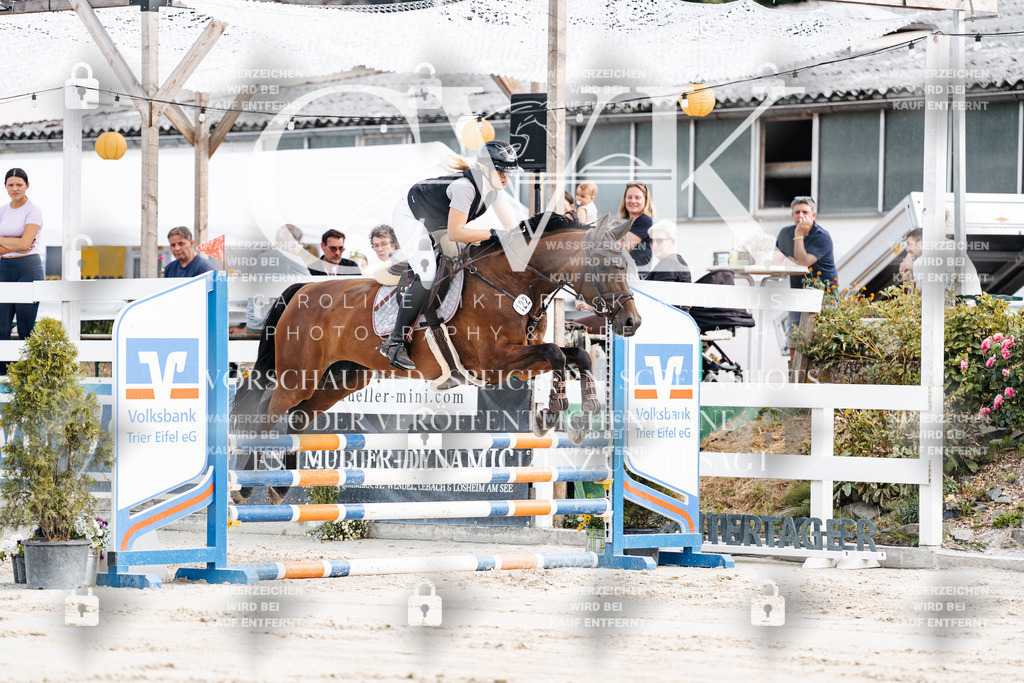 CK908971 | Turnierfotografie Pferdefotografie Trier Rheinland-Pfalz Pferdesport Reitsport Tierfotografie Sportfotografie Pferdevideo Pferdevideografie Equestrianvideography equestrianphotography  - Realisiert mit Pictrs.com