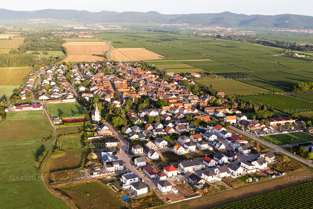 Luftbild: Landwirtschaftliche Nutzflächen und Feldgrenzen umsäumen das Siedlungsgebiet des Dorfes in Altdorf im Bundesland Rheinland-Pfalz in Deutschland. Foto: IMG_116601.jpg vom 11.08.2019 durch Werner Riehm/FLY-FOTO.de