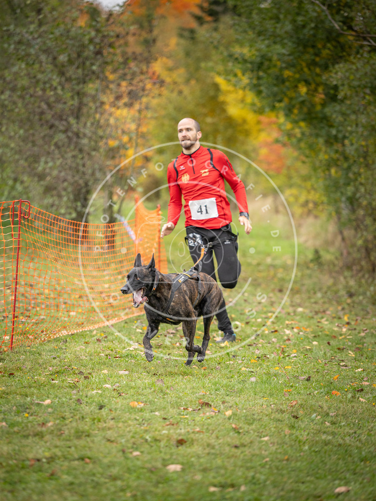 Pfotenfotografie_DV3A2303 | Hundefotografie, Tierfotograf, Pfotenfotografie, Fotoshooting Hund, Hunde Portrait, Hundesport, Hundeportraits, Heideshooting, Hunde, Sportfotograf, Hundefotograf, Turnierhundsport, THS,  - Realisiert mit Pictrs.com