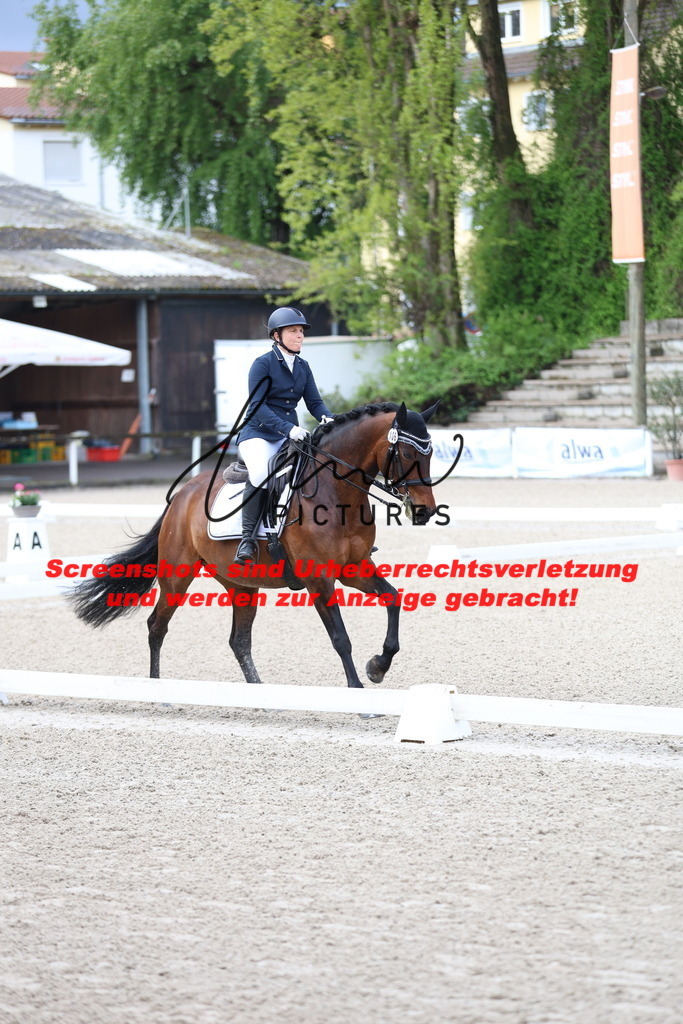 A40A0061 | lmwpictures - Realisiert mit Pictrs.com