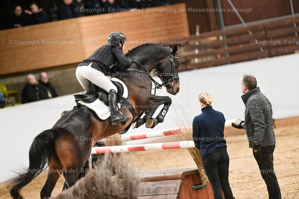 20260307_Hengstvorstellung-Marbach_0459 | equistock