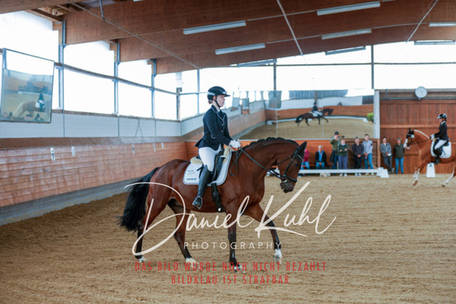 _62_5205 | Turniersportfotografie; Pferdefotografie; Dressurfotografie