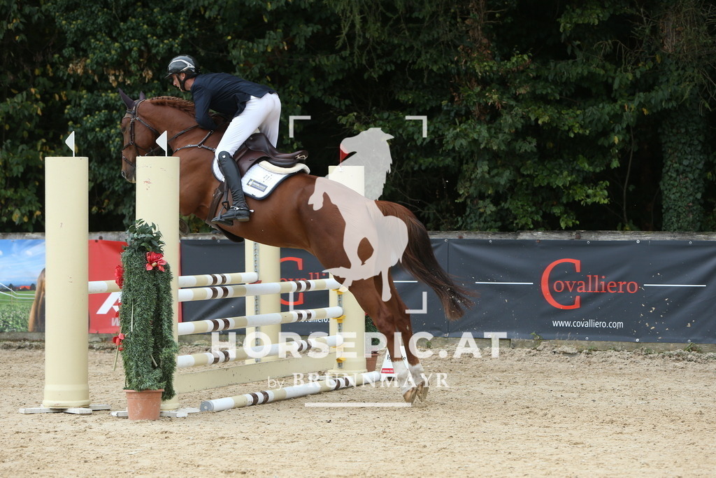 DL2Q1480 | Willkommen bei Brunnmayr - Design & Fotografie – Ihrem Spezialisten für Reitturniere und Pferdeveranstaltungen in Oberösterreich, Salzburg und Bayern! Seit über 17 Jahren sind wir leidenschaftlich dabei.