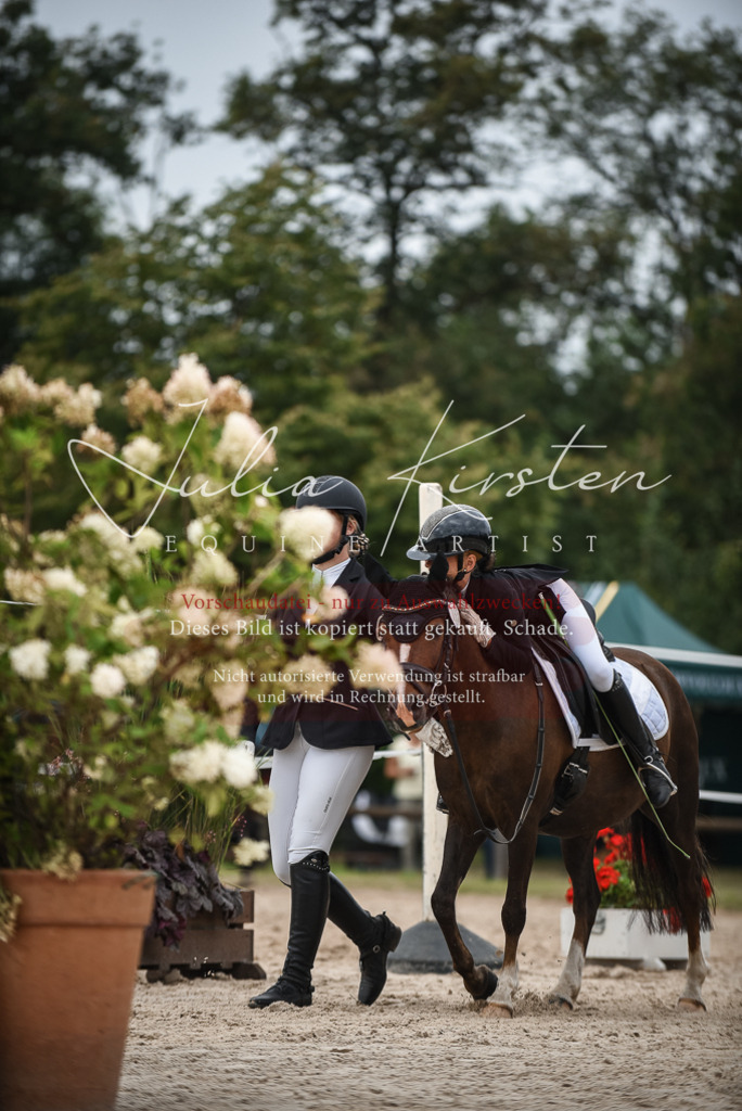 DSC_8190 | Pferde- und Turnierfotografie in Westsachsen. Pferdeportraits, Auftragszeichnungen und intuitive Kunst.