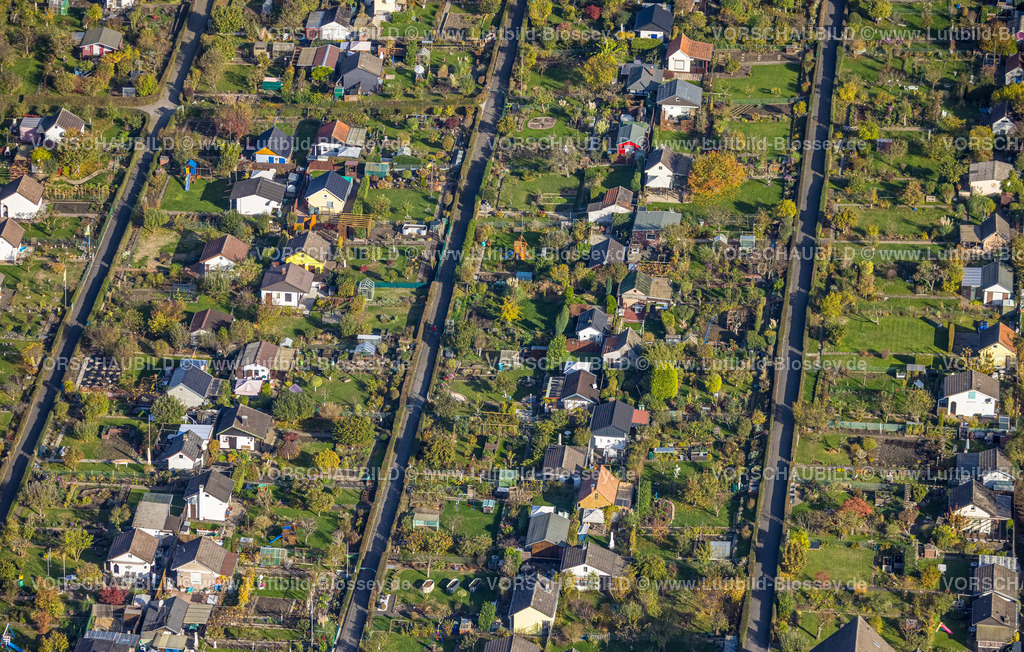 Hagen221016118 | Luftbild, Kleingartenverein Höing, Altenhagen, Hagen, Ruhrgebiet, Nordrhein-Westfalen, Deutschland