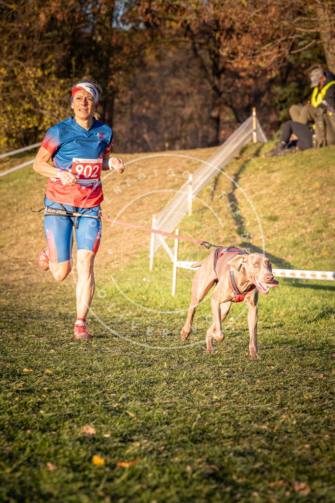 CaniXpix_0L8A1307 | Hundefotografie, Tierfotograf, Pfotenfotografie, Fotoshooting Hund, Hunde Portrait, Hundesport, Hundeportraits, Heideshooting, Hunde, Sportfotograf, Hundefotograf, Turnierhundsport, THS,  - Realisiert mit Pictrs.com