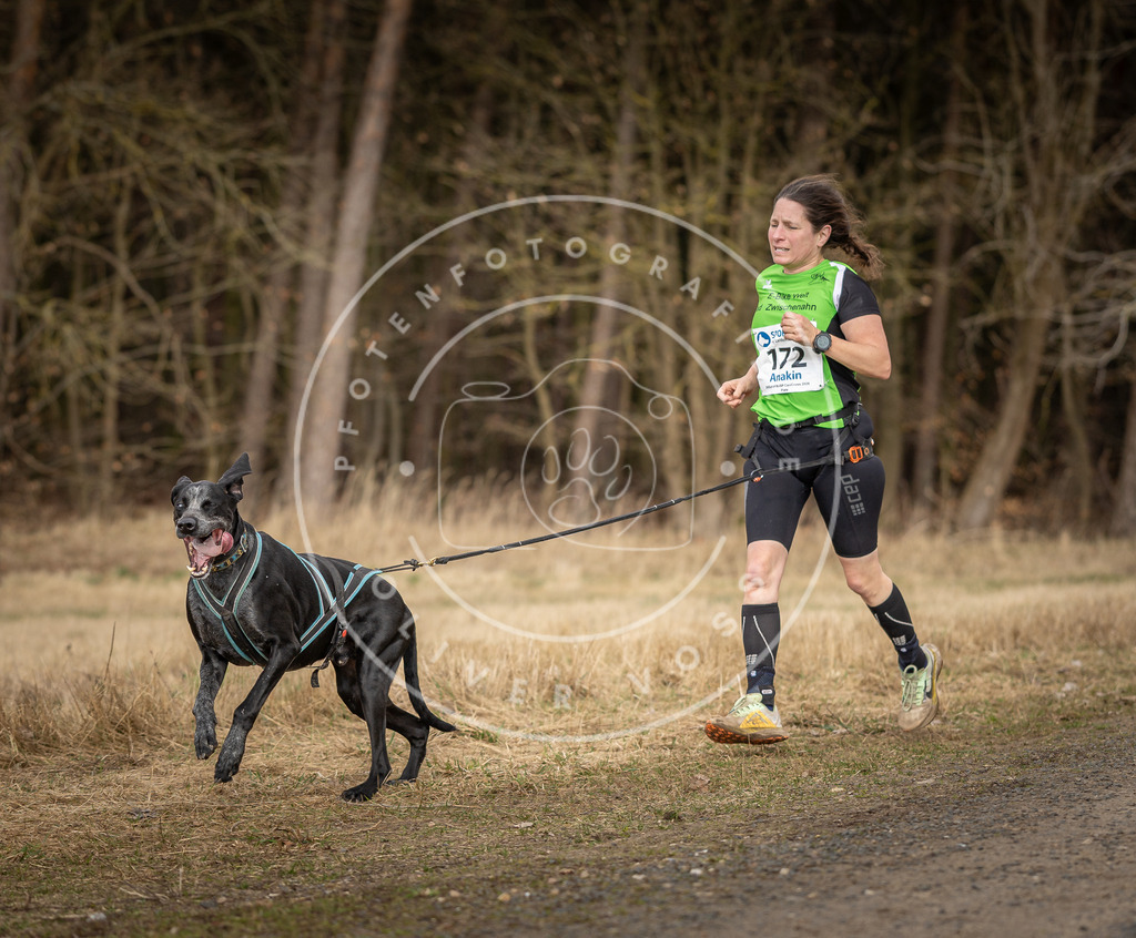 DV3A5401 | Hundefotografie, Tierfotograf, Pfotenfotografie, Fotoshooting Hund, Hunde Portrait, Hundesport, Hundeportraits, Heideshooting, Hunde, Sportfotograf, Hundefotograf, Turnierhundsport, THS,  - Realisiert mit Pictrs.com