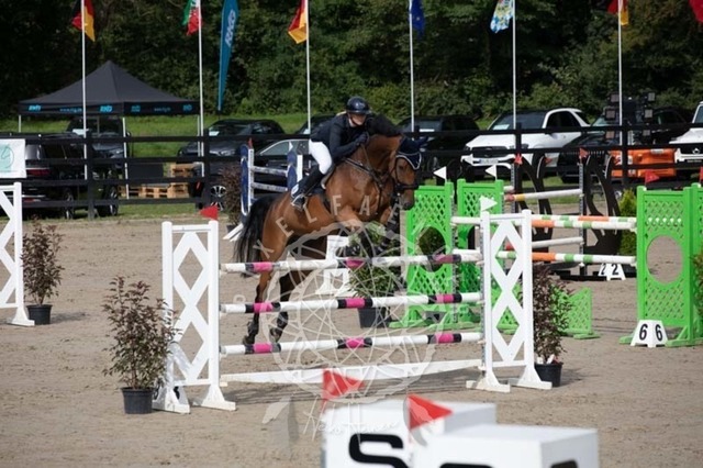 2B4A1234 | pixelfaenger - Realisiert mit Pictrs.com