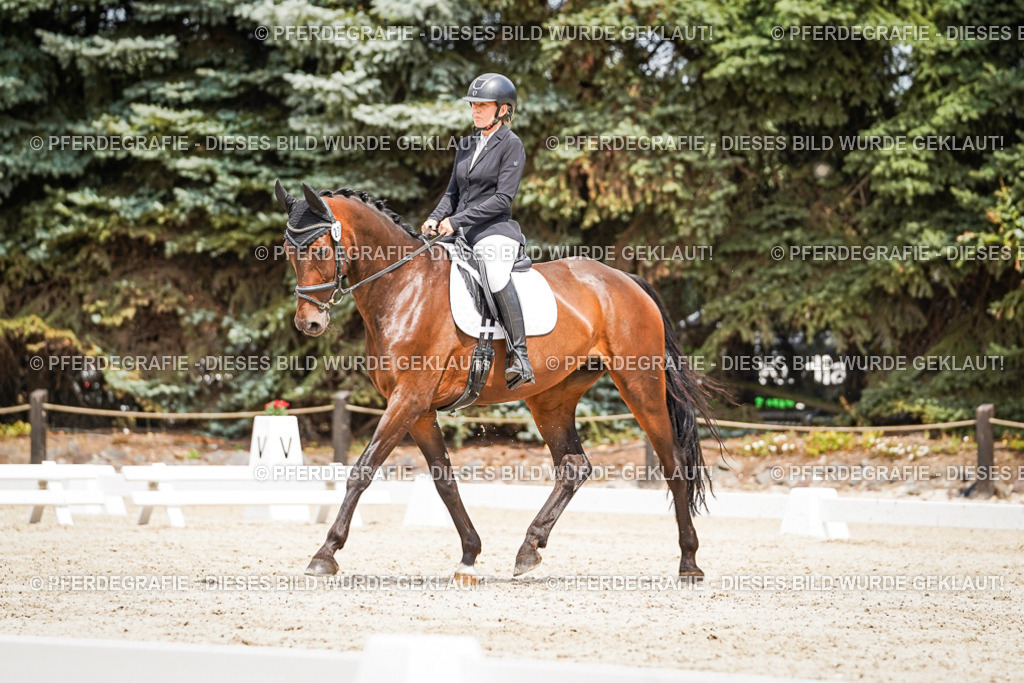 DSC03612 | Pferdegrafie