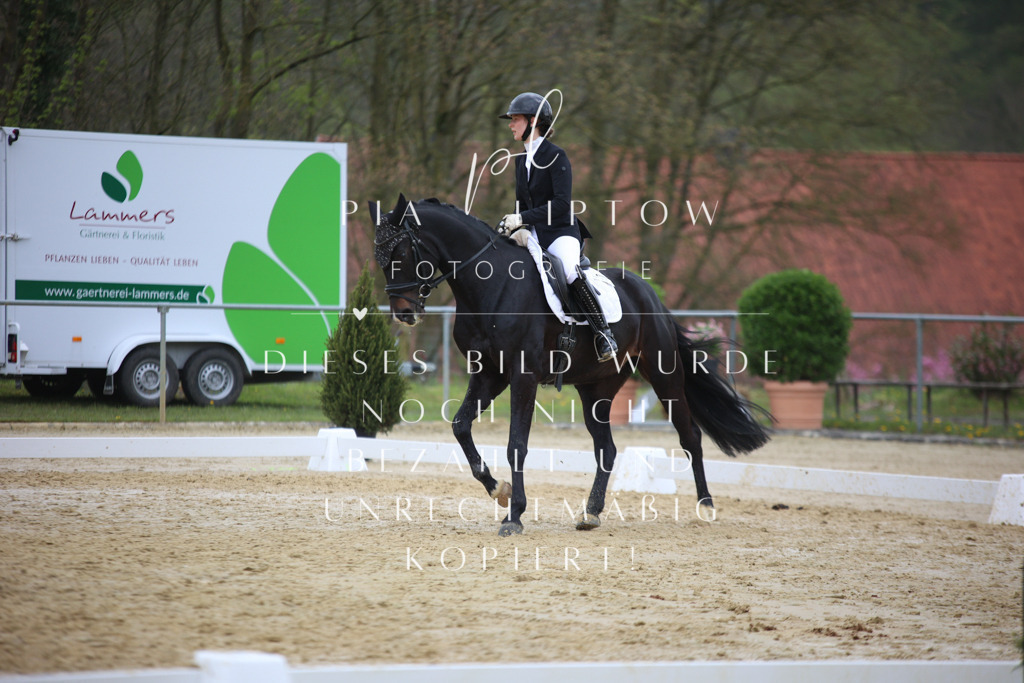 IMGT5927 | pl-fotografie