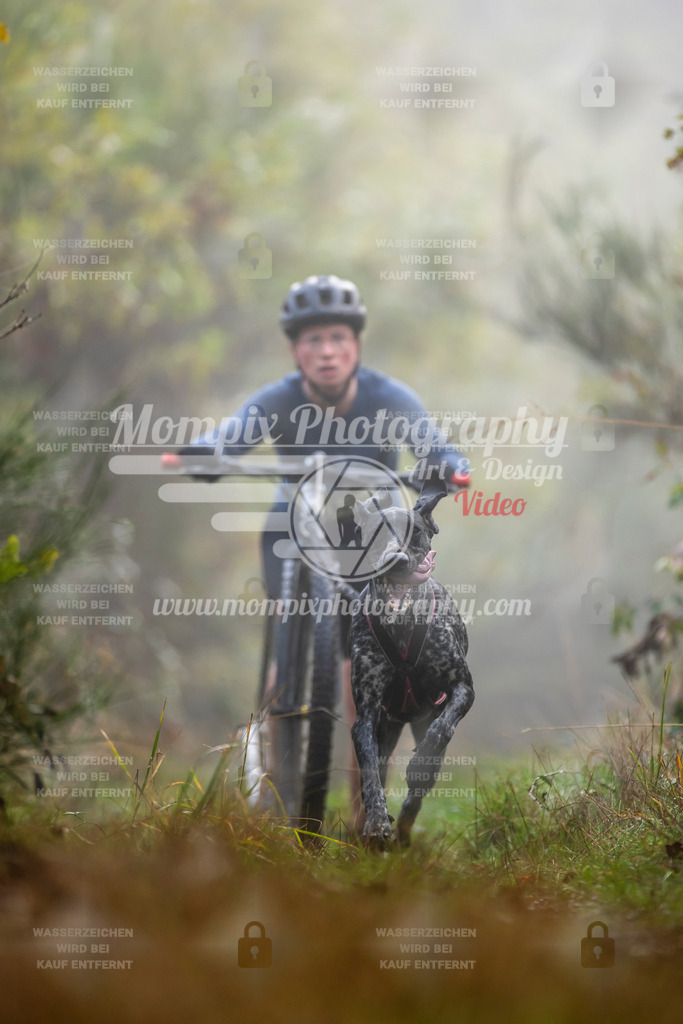 MompixPhotography_20TSB_E4_DS1-20 | PayLife