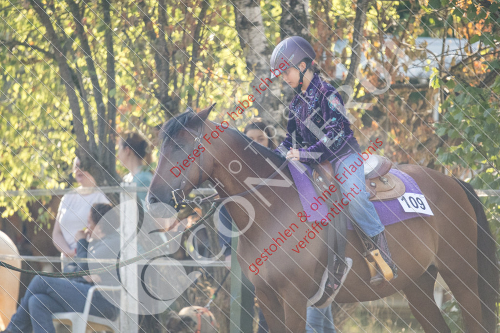 IMG_6434 | Sport-, Event- und Tierfotos in Profiqualität. Einfach auswählen, bestellen und herunterladen. Dein Moment – perfekt festgehalten.