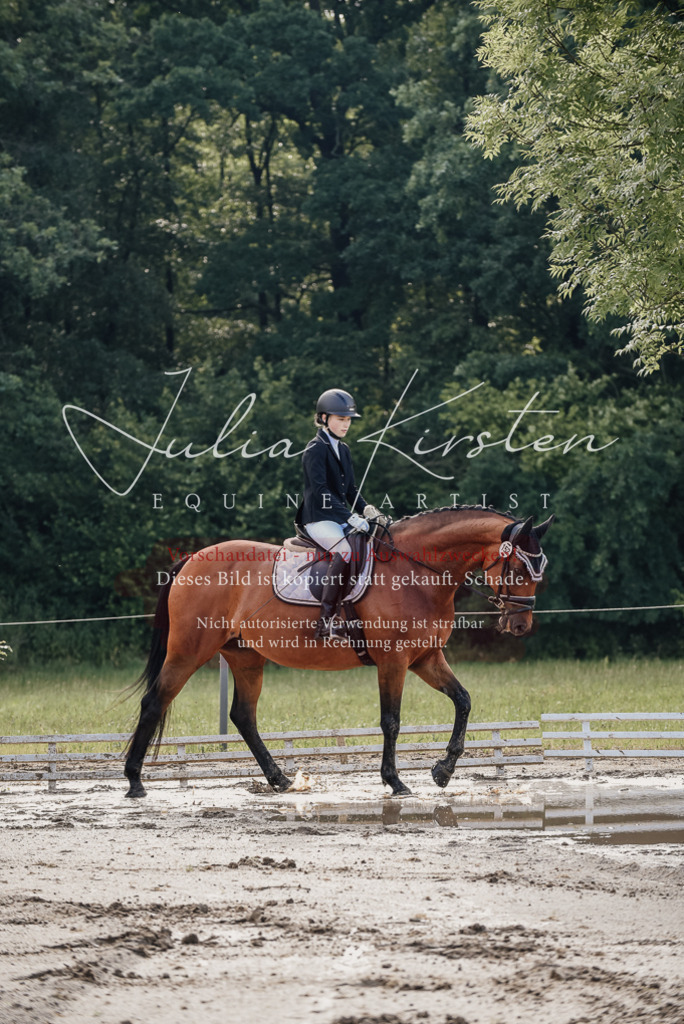 DSC_8089 | Pferde- und Turnierfotografie in Westsachsen. Pferdeportraits, Auftragszeichnungen und intuitive Kunst.