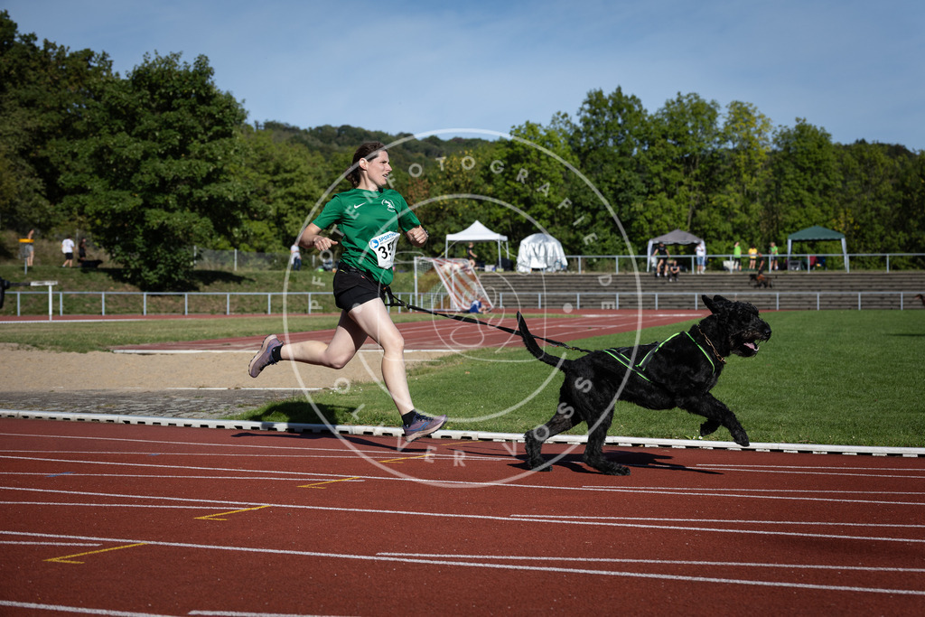 Pfotenfotografie_DV3A9271 | Hundefotografie, Tierfotograf, Pfotenfotografie, Fotoshooting Hund, Hunde Portrait, Hundesport, Hundeportraits, Heideshooting, Hunde, Sportfotograf, Hundefotograf, Turnierhundsport, THS,  - Realisiert mit Pictrs.com