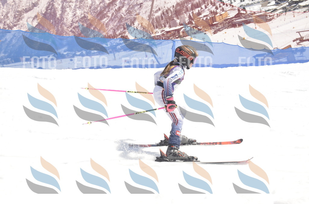 _ELE9489 | holidayphoto