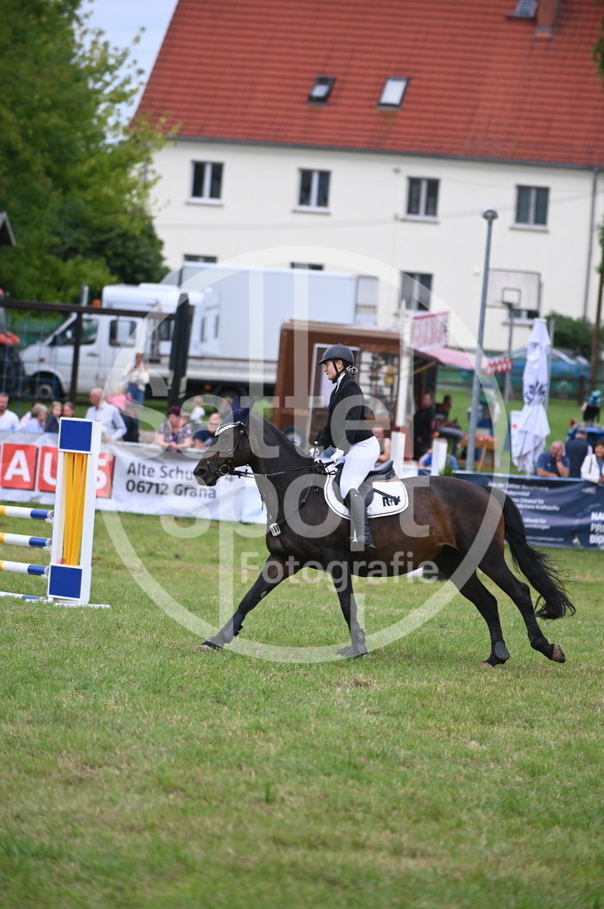 DSC_0701 | sattelsport - Realisiert mit Pictrs.com