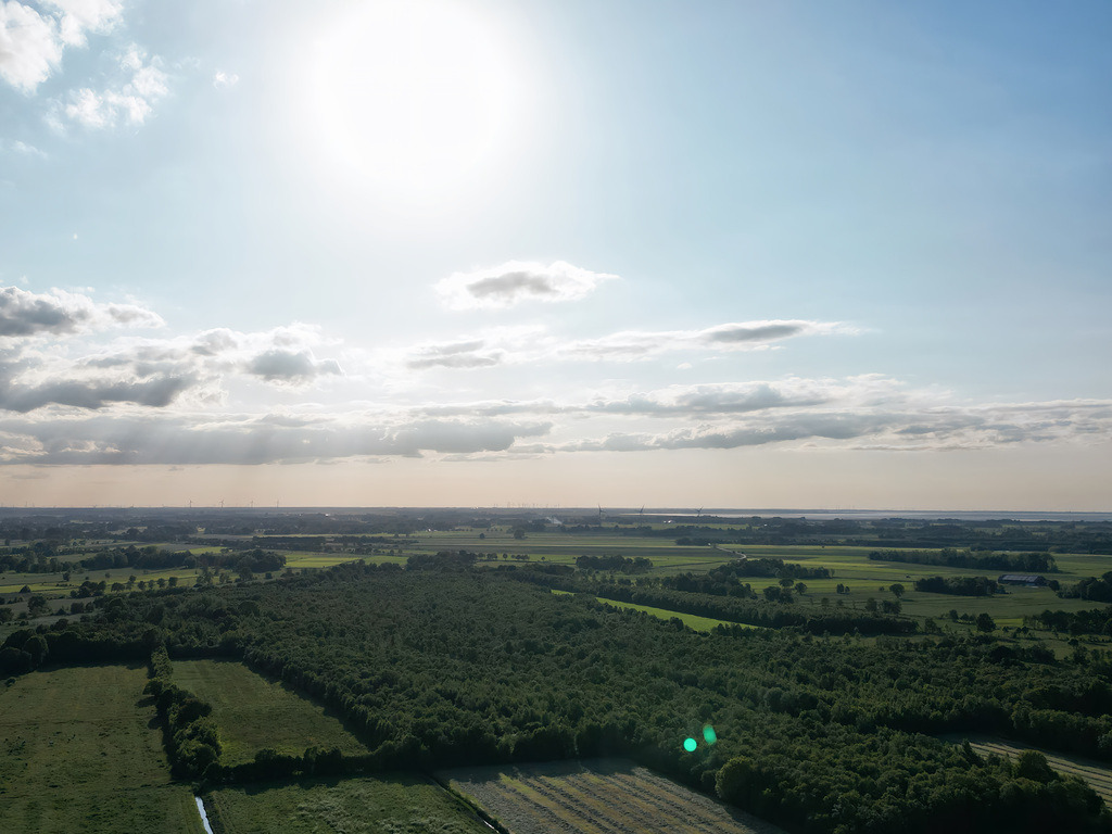 Bild 12 | naturepictures1332 - Realisiert mit Pictrs.com