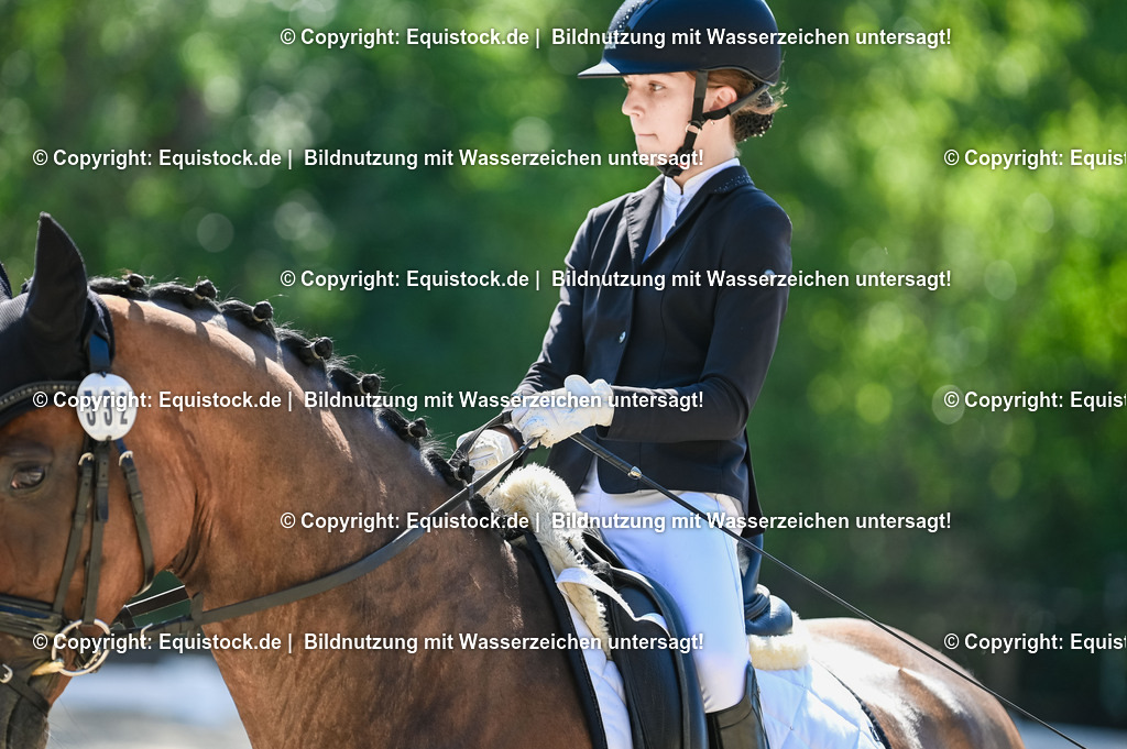 20230908_06_Dressur-L-Trense_0301 | equistock