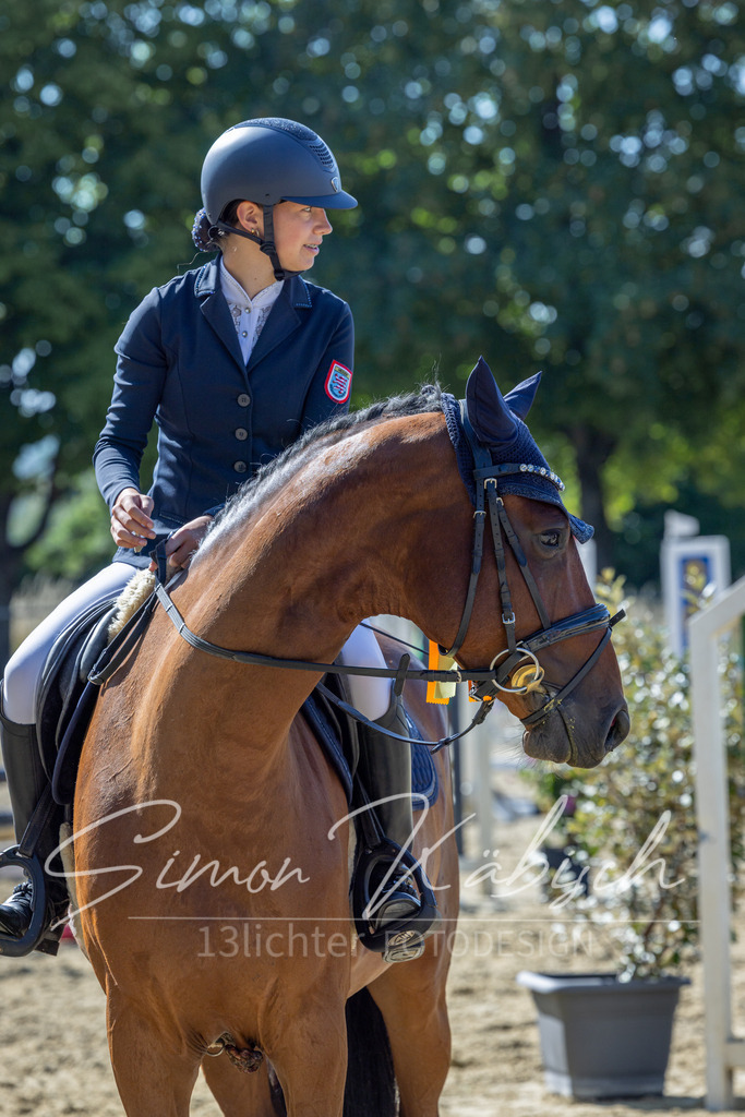 20260704-_3LI7297 | Tierfotografie Pferde, Hunde, Katzen, Haustiere.
Turnierfotografie Reitturniere, Reiten, Springreiten, Dressur in Hanau, dem Main-Kinzig-Kreis und dem Rhein-Main- Gebiet um Frankfurt