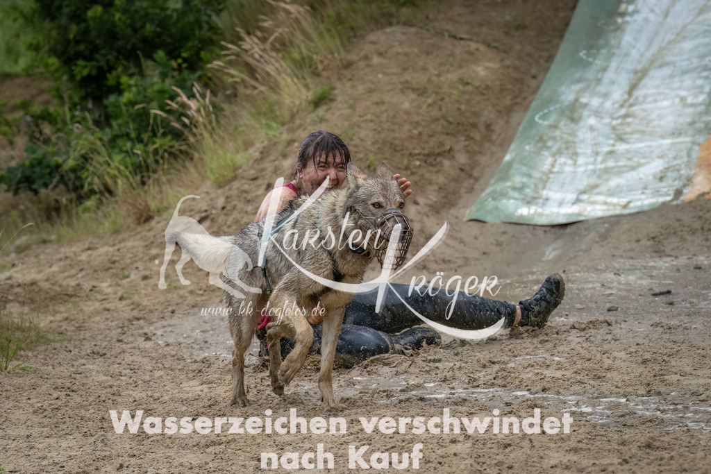 1620_ZZ91164-Bearbeitet | kk-dogfotos