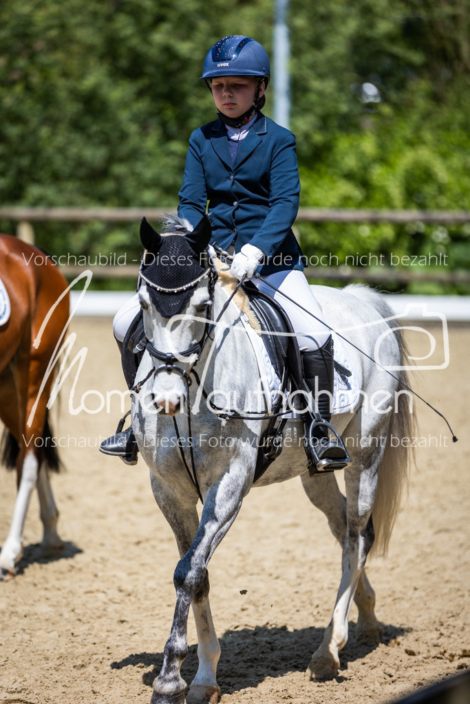 Donop24-RWB-034 | MomenTaufnahmen Pferdesportfotos