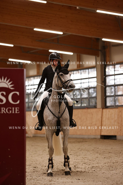 1J2A2617Annabell Kurp_ Queenie 28_ Kn429_ Hohen Wieschendorf_ Glantz | Foto- und Videografie für alles rund ums Pferd. Hochwertige Bilder und Videos vom Spring- und Dressurreiten, Voltigieren & mehr. Jetzt aktuelle Veranstaltungen und Preise im Shop ansehen. - Realisiert mit Pictrs.com