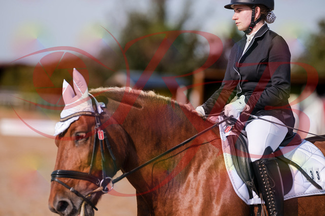 2026_10_03_Siefer-Hof_114057_Z81_83490491 | Professionelle Reitsport-, Turnier- und Eventfotografie von Robert Broda. Galerien mit ausgewählten und bearbeiteten Bildern direkt online ansehen und bestellen.