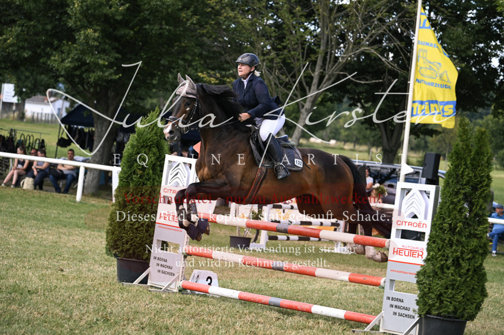 DSC_0555 | Pferde- und Turnierfotografie in Westsachsen. Pferdeportraits, Auftragszeichnungen und intuitive Kunst.