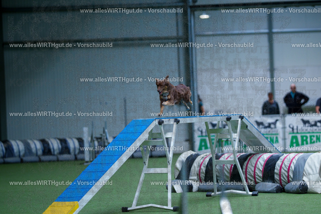@allesWIRTHgut_Tierfotografie - www.allesWIRTHgut.de - 2604261140-7R500151 | Professionelle Tierfotografie in Mönchengladbach von Daniel Wirth (allesWIRTHgut). Liebevolle & natürliche Bilder von Hunden & Katzen für unvergessliche Erinnerungen.