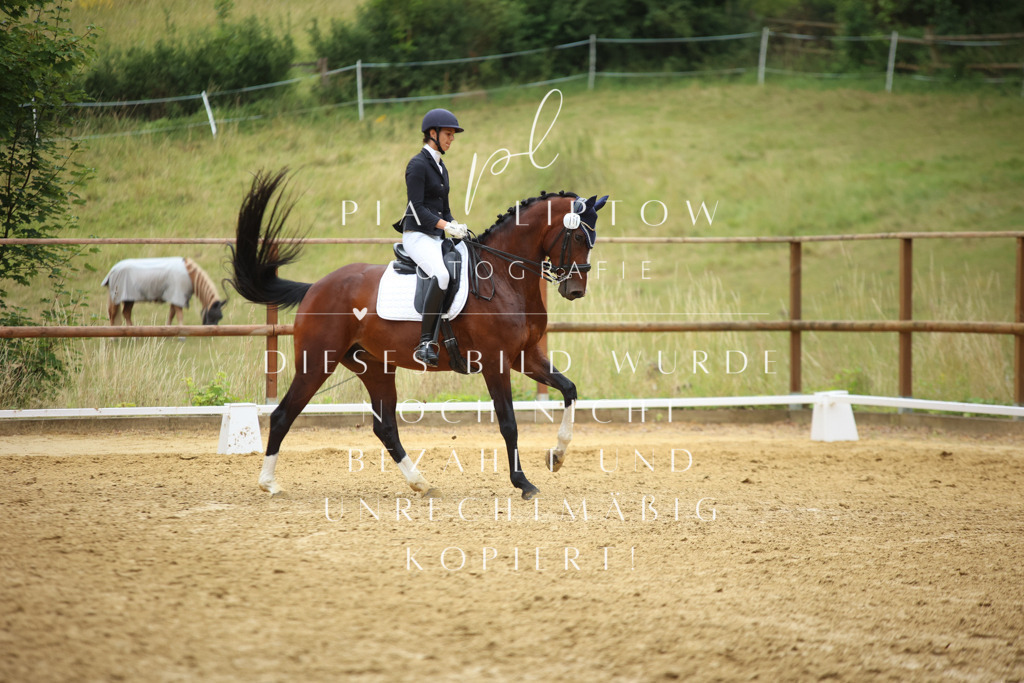 IMGM2016 | pl-fotografie