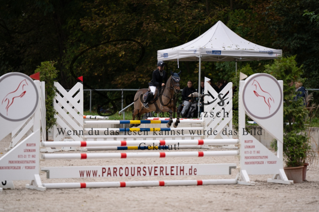 A7V09641 | Pferdefotograf